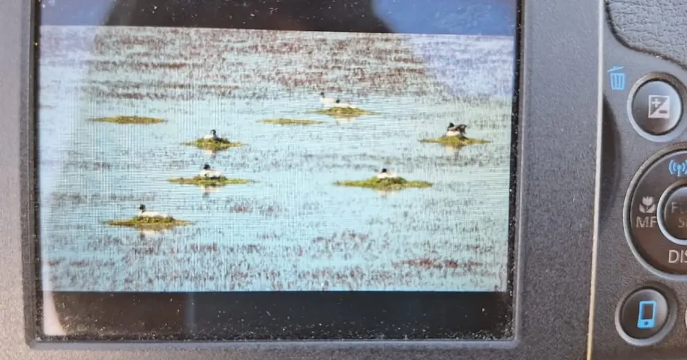 587413595_18089718314505372_4046427259143006046_n