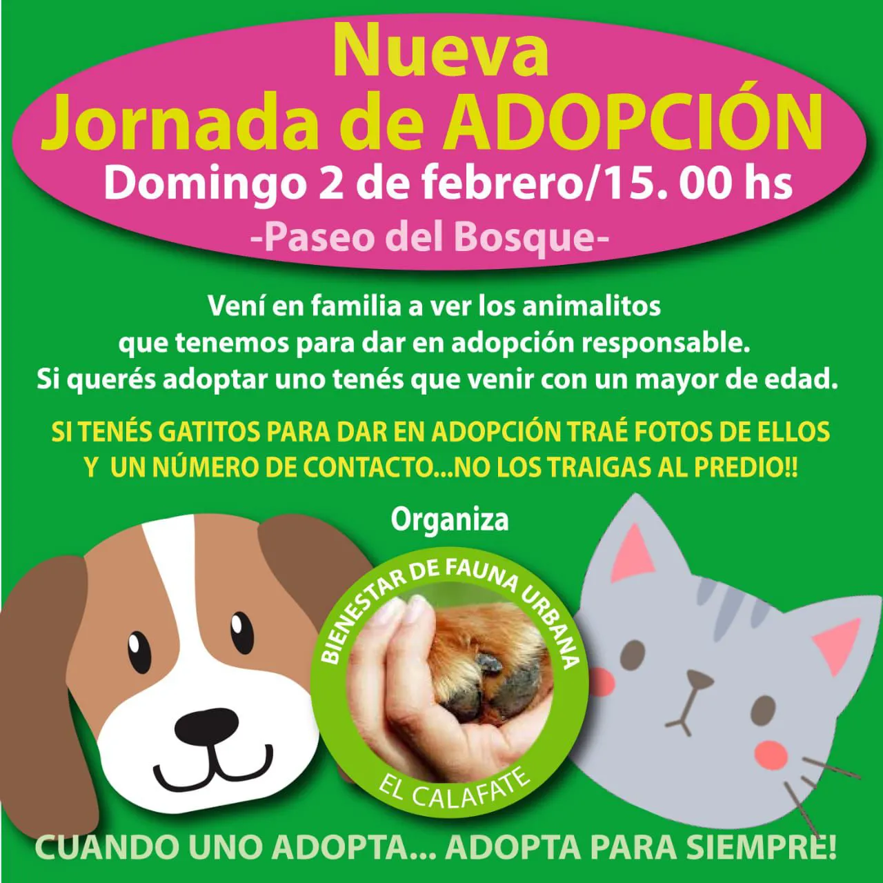 475761971_1244367283943635_8128213565764037267_n