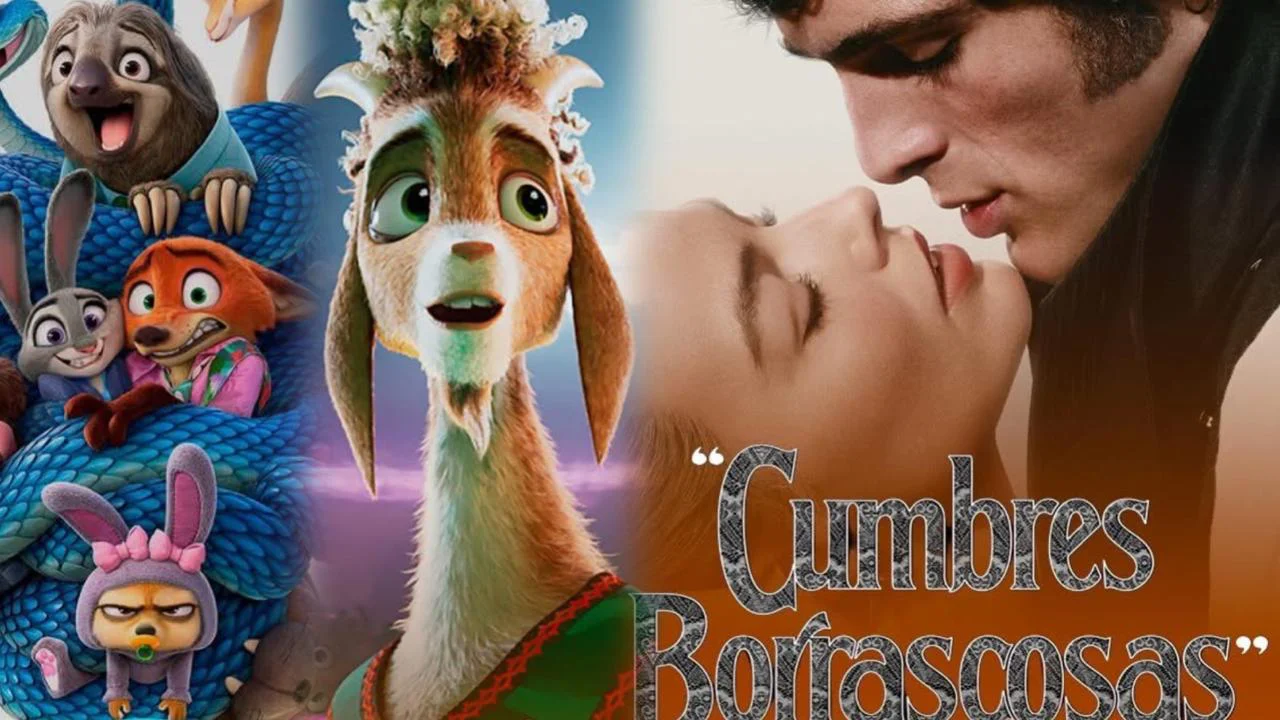 WhatsApp Image 2026-02-19 at 19.51.09