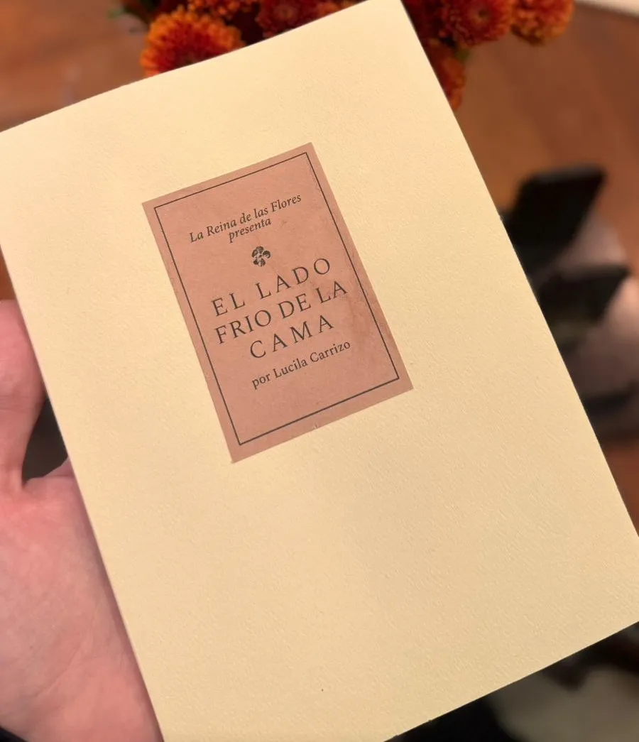 WhatsApp Image 2025-09-07 at 16.20.01(1)