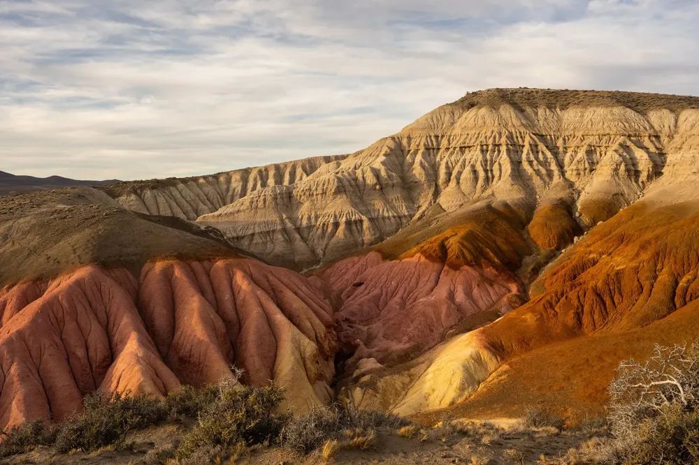 Tierra de Colores 01