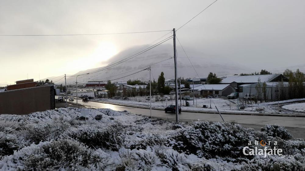 Calafate nevado [AUDIO FMD]