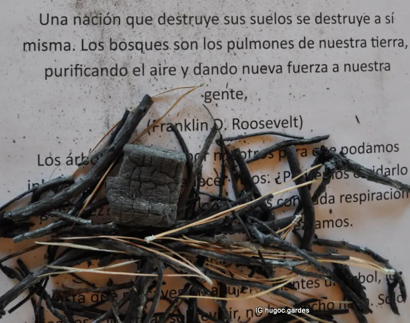 WhatsApp Image 2025-02-22 at 15.31.40