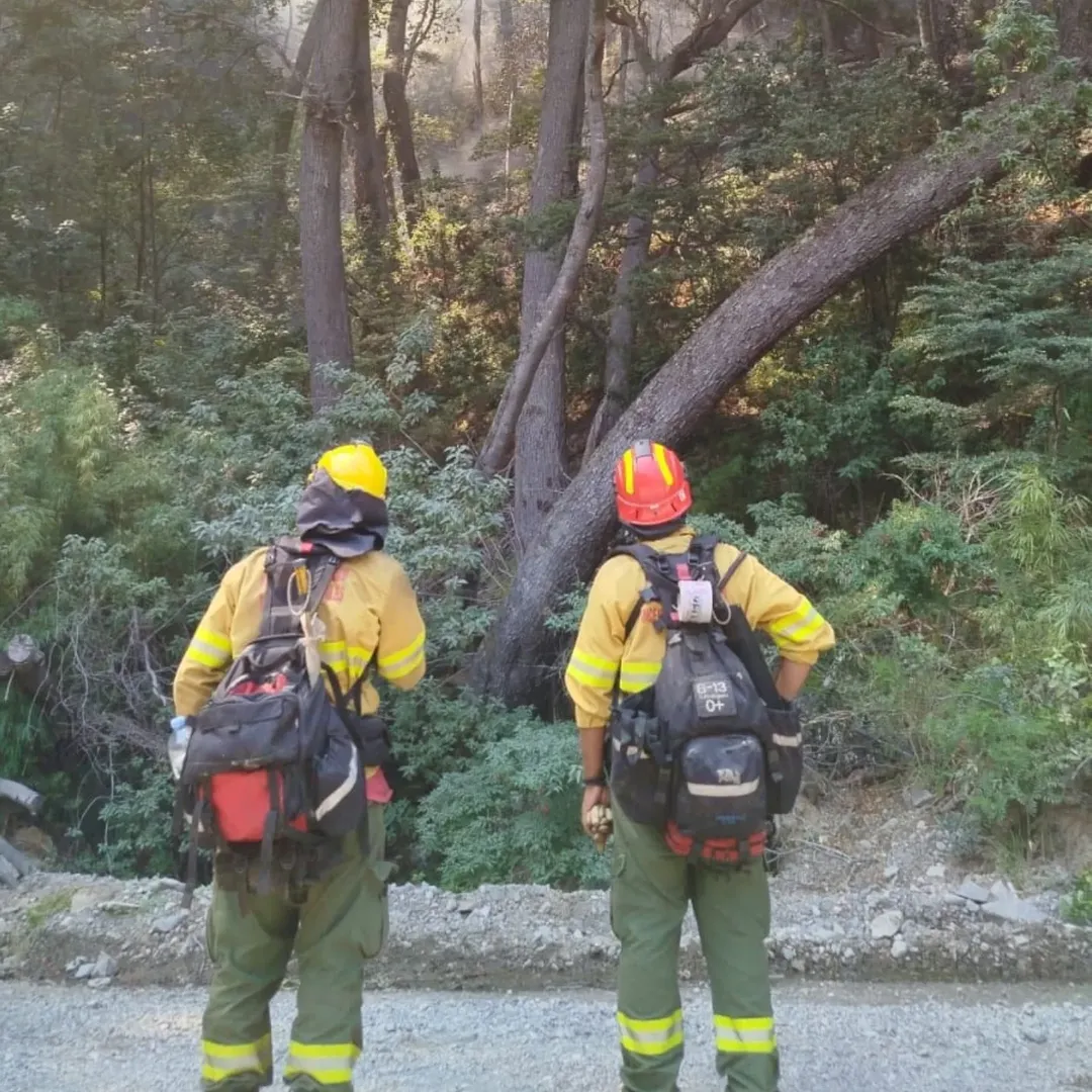 Primera jornada de trabajo en el PN los Alerces