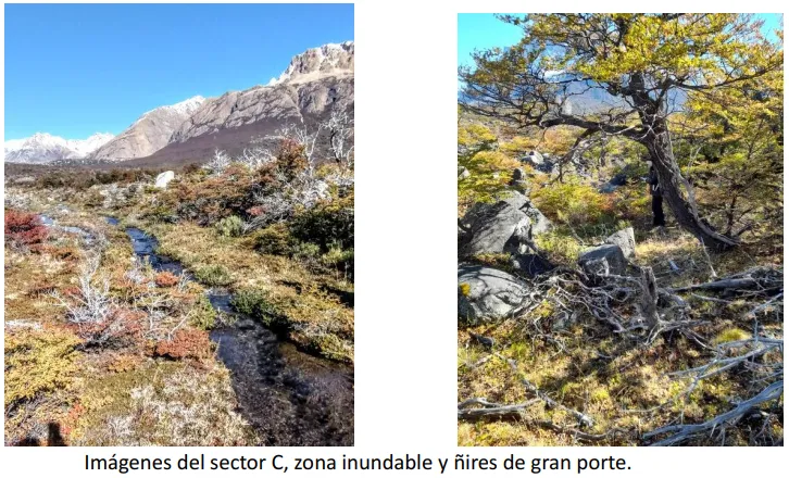 Captura de pantalla 2025-04-14 214109