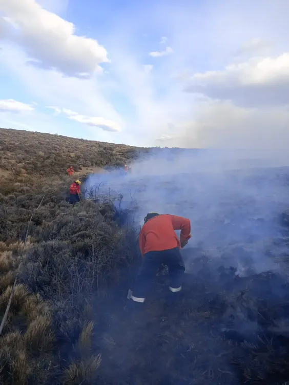 Imagen de WhatsApp 2025-02-21 a las 19.30.44_cbaa25b4