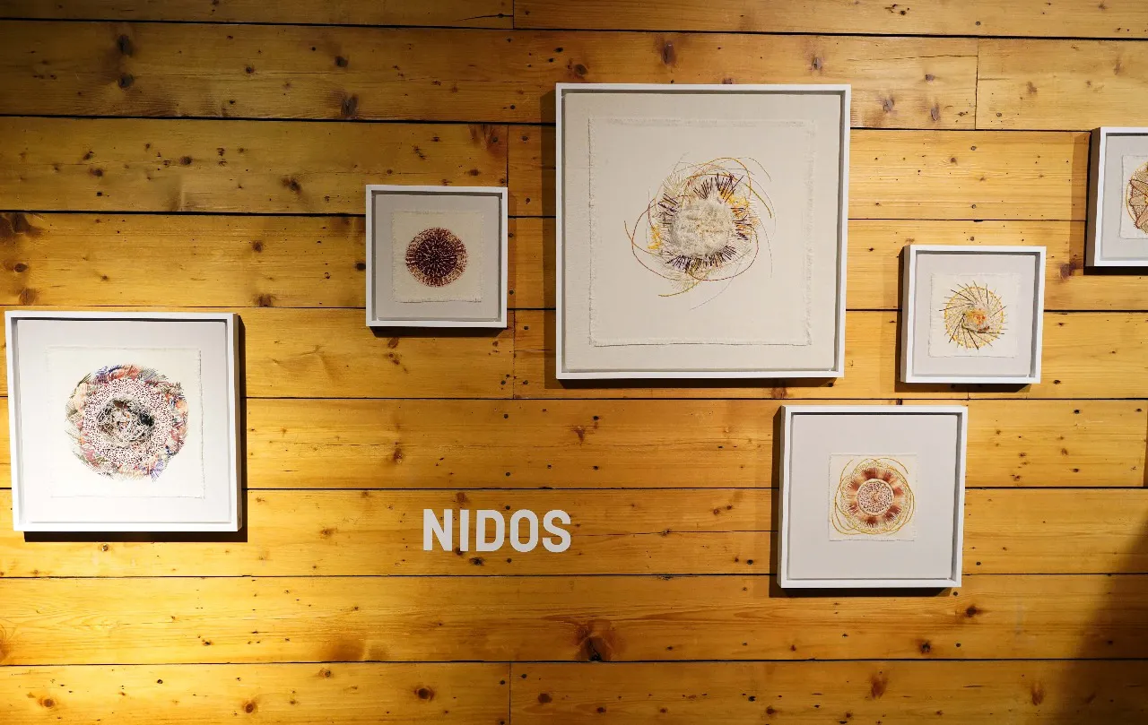 WhatsApp Image 2025-09-10 at 15.44.50