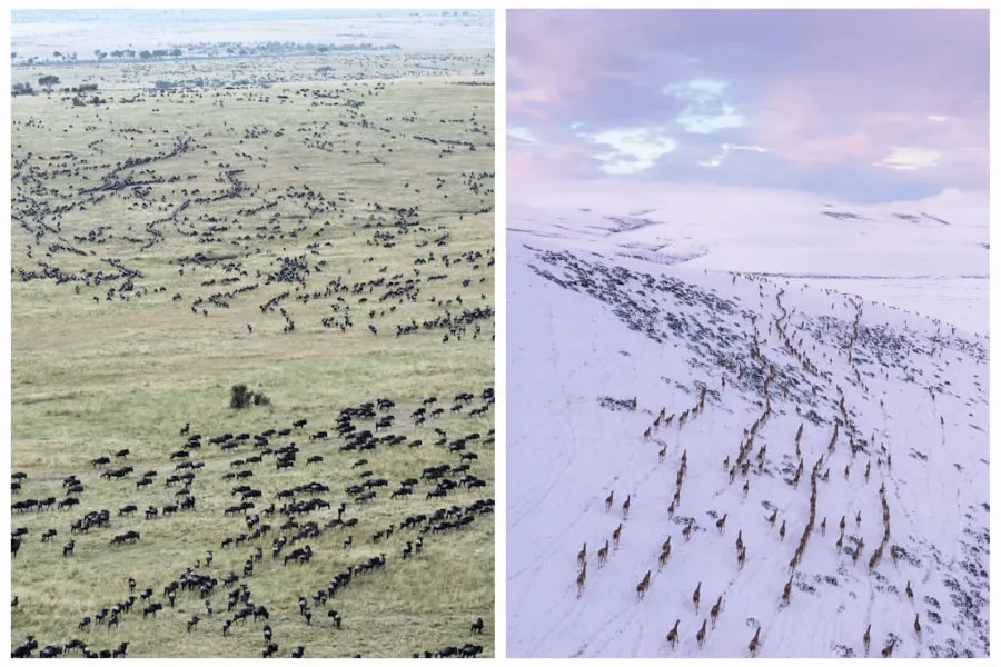 WhatsApp Image 2023-06-12 at 15.06.15