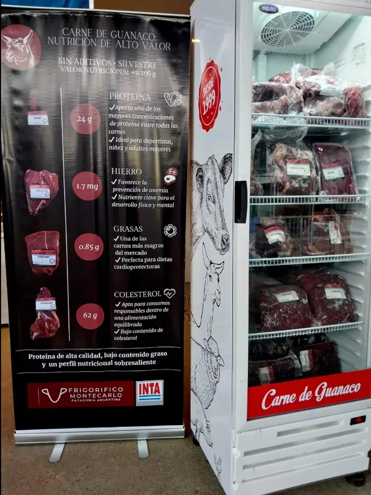 guanaco carne