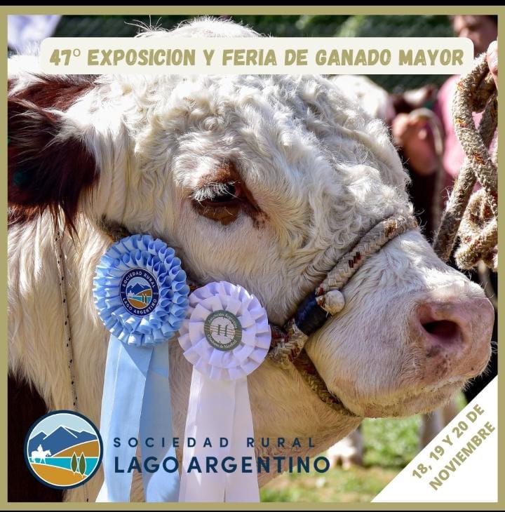 Rural Lago Argentino