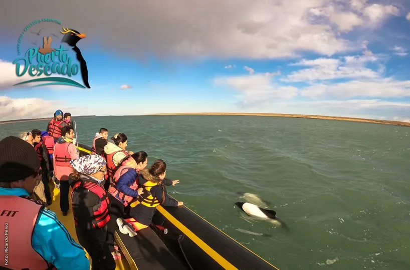 138758050_2877066649282272_3346701213867420038_n