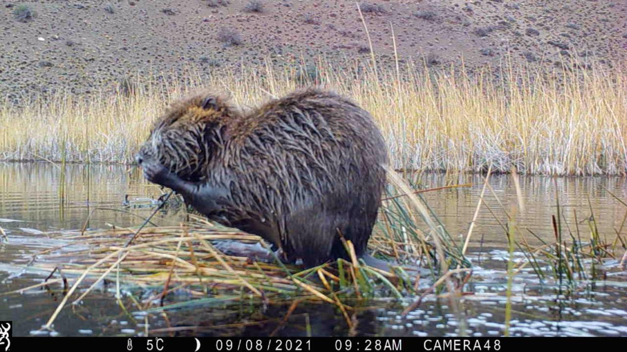 WhatsApp Image 2023-01-18 at 15.42.49 (2)