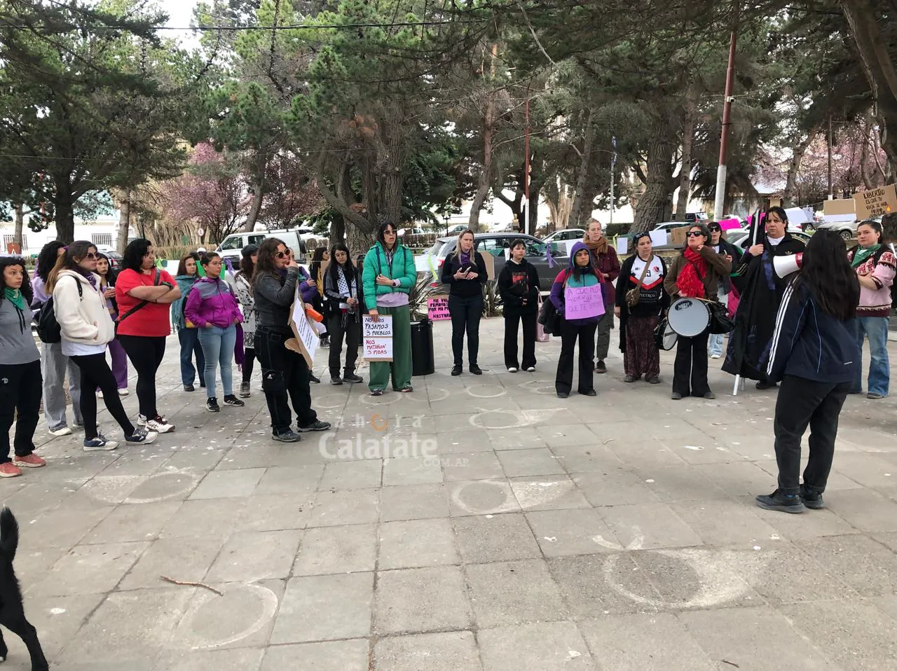 WhatsApp Image 2025-09-27 at 19.28.30(1)