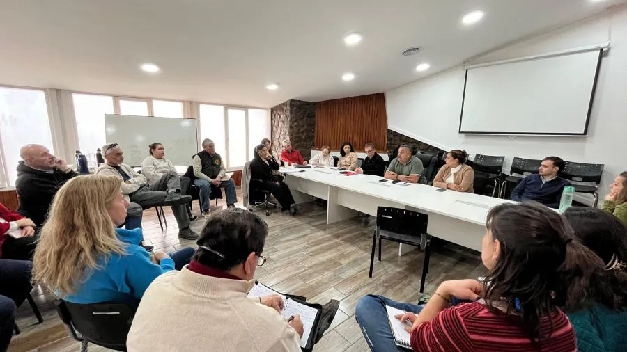 reunion contra regulacion