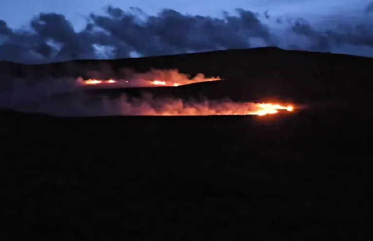 Captura de pantalla 2025-02-20 233946