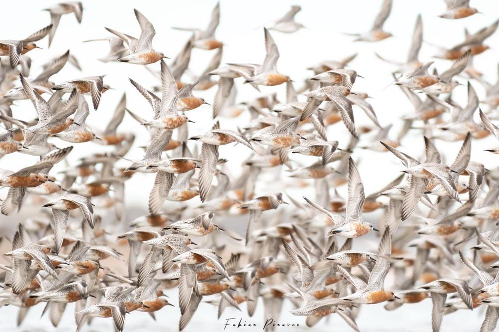 WhatsApp Image 2023-05-12 at 12.17.21