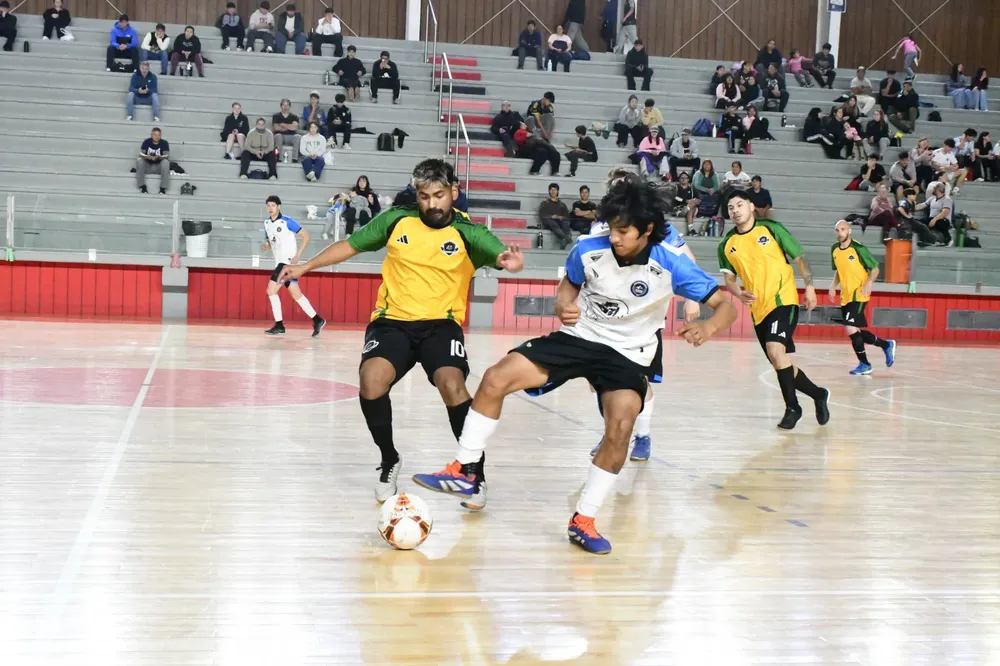 WhatsApp Image 2026-04-03 at 10.01.54 (1)