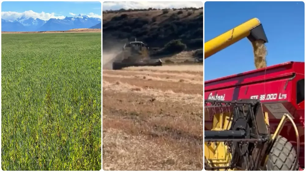 WhatsApp Image 2026-01-28 at 12.50.52