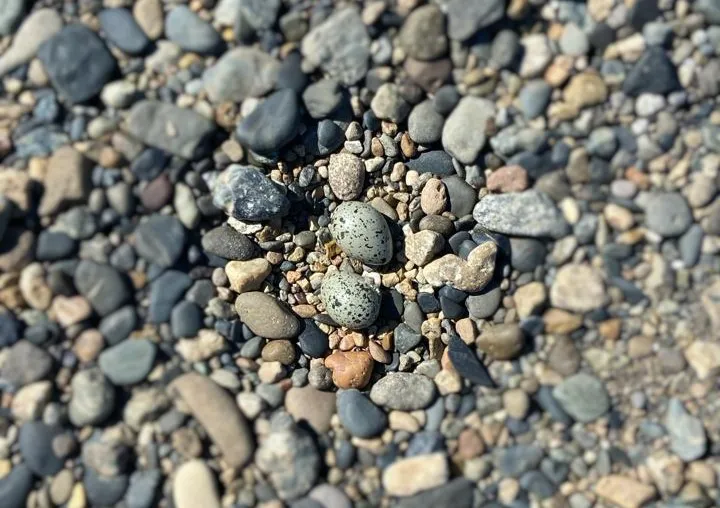 WhatsApp Image 2025-12-16 at 12.25.22(1)