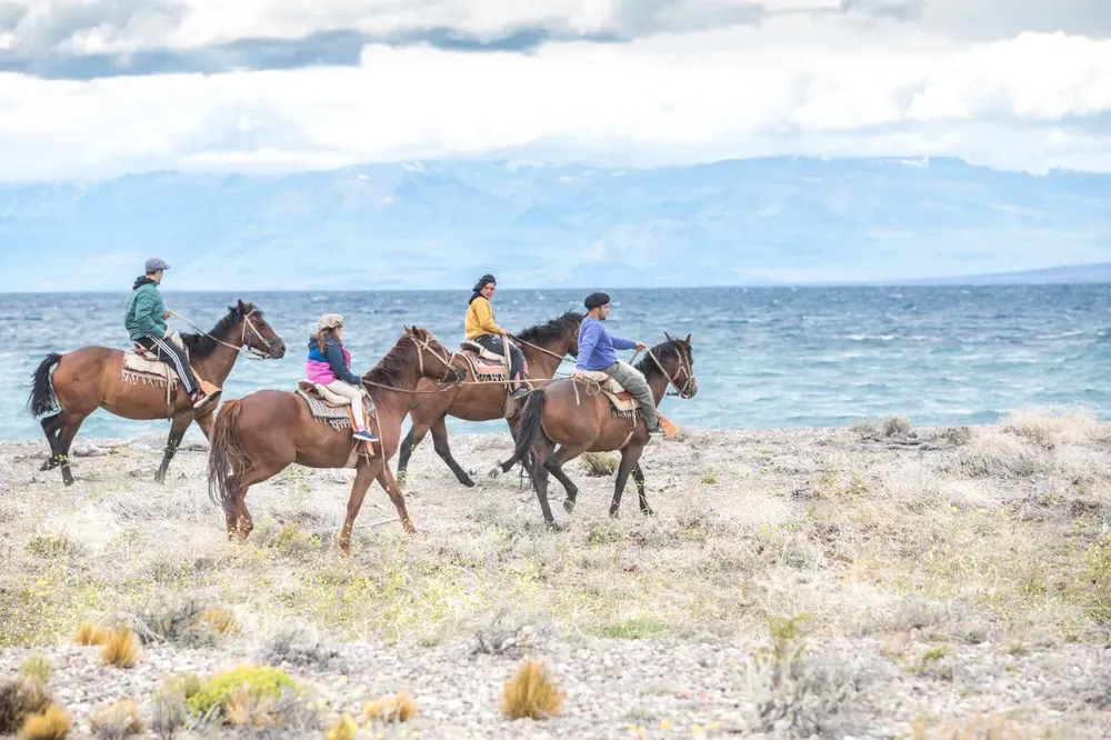 WhatsApp Image 2023-12-15 at 21.56.13