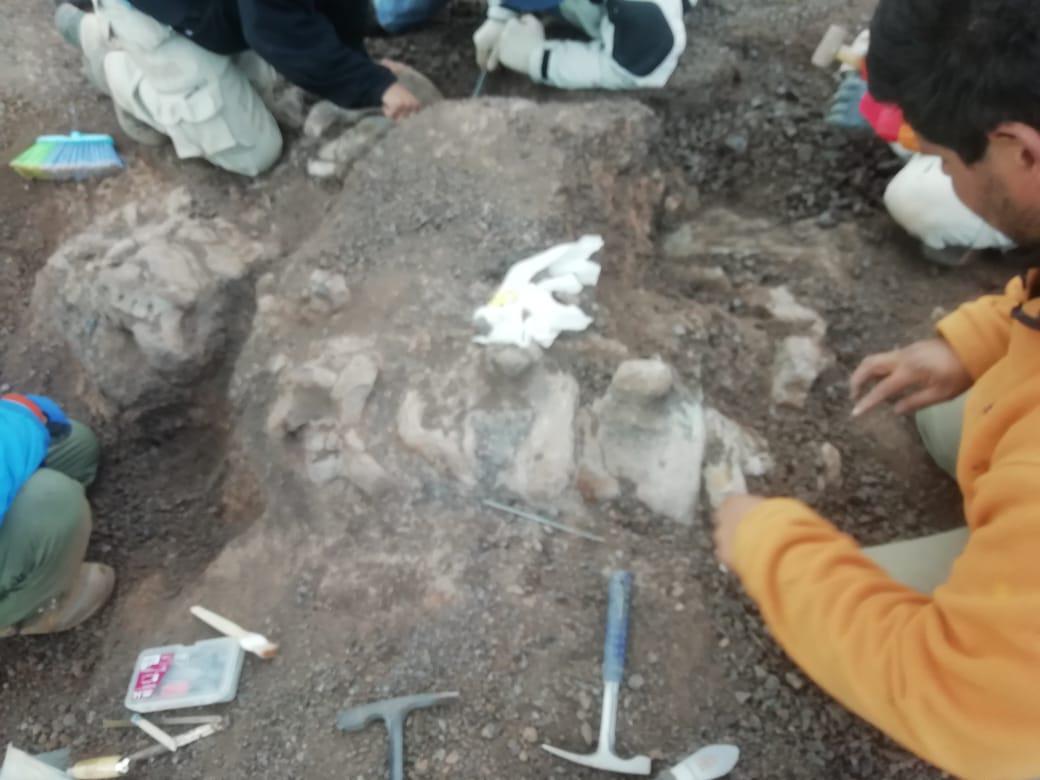 Yacimiento Anita - Fernando Novas 4