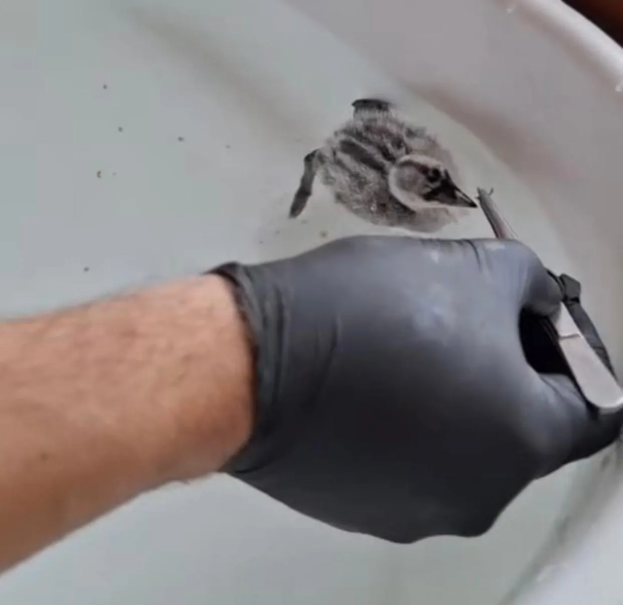 WhatsApp Image 2026-01-25 at 17.52.28(2)