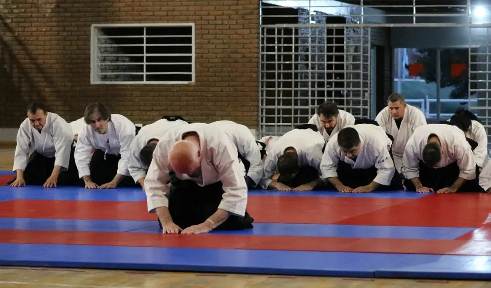 aikido