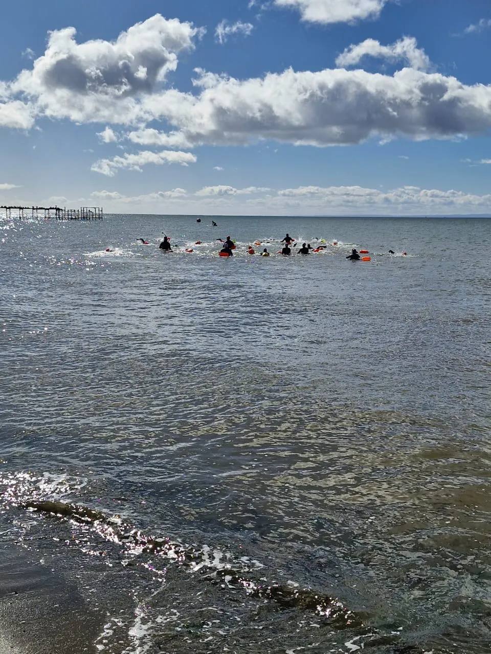 55fe59ae-6e5d-4f36-a485-04dde86ef544