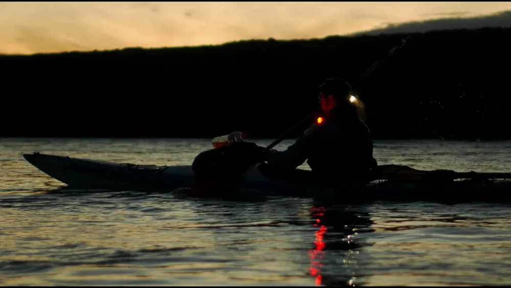 WhatsApp Image 2026-01-12 at 14.10.55 (1)