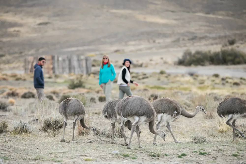 P Patagonia - PCP - El Mollar - Estrella Herrera - marzo 2022  (25)~1