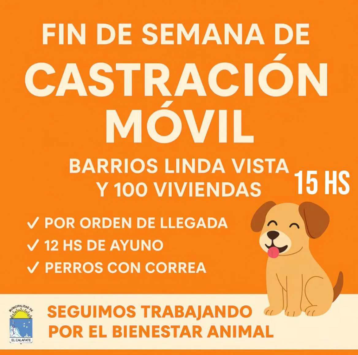 589959729_1271281781711422_5074892646054664327_n