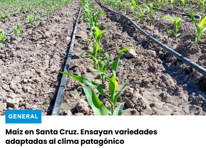 Captura de pantalla 2026-03-15 211451