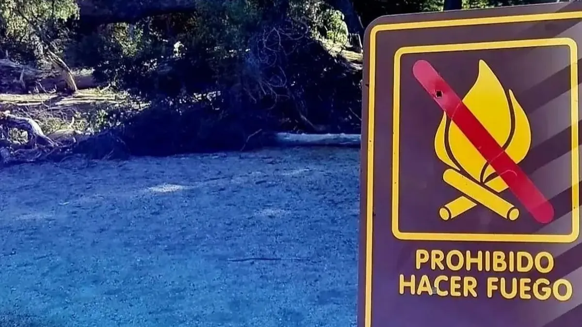 incendios-forestales-2jpg