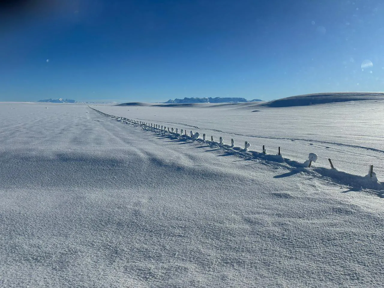 449238985_973321108132718_272334330969833437_n