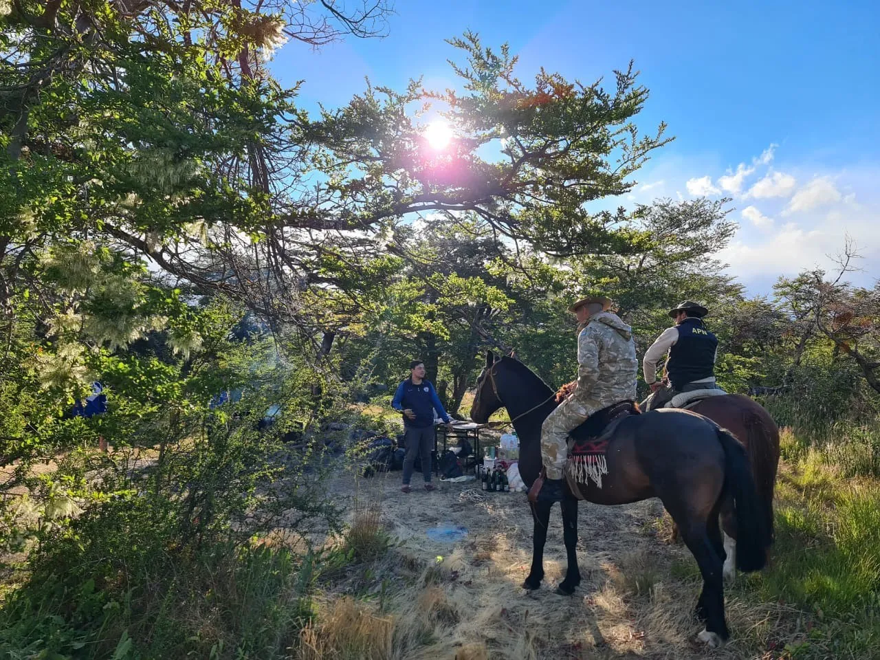 WhatsApp Image 2024-12-20 at 12.07.35