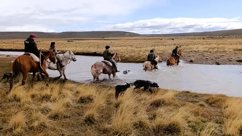 Allanamiento estancia0 16x9