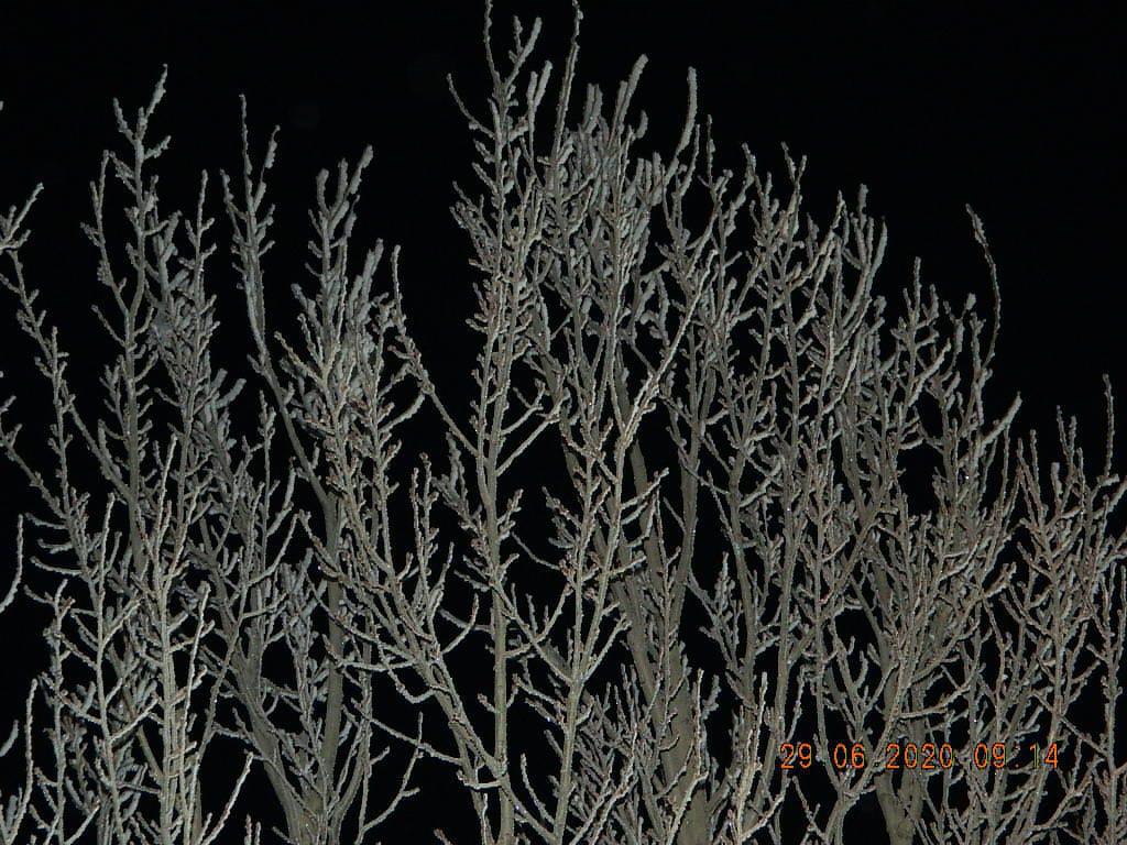 La Esperanza Helada 3