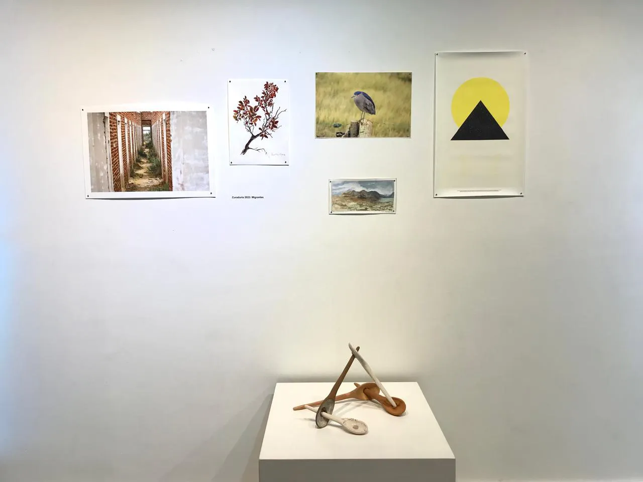 WhatsApp Image 2024-08-21 at 10.44.26(1)