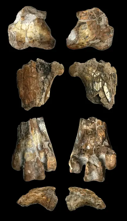 487791345_1196455562489840_3655918206325408457_n