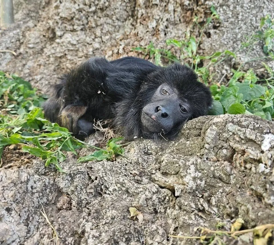 472760942_1128449148680785_5696831953295262401_n