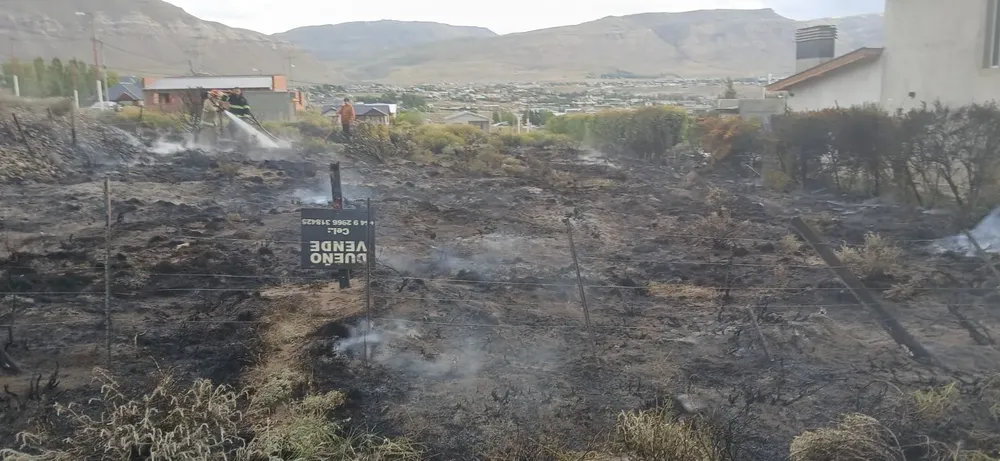 WhatsApp Image 2025-12-05 at 23.29.55