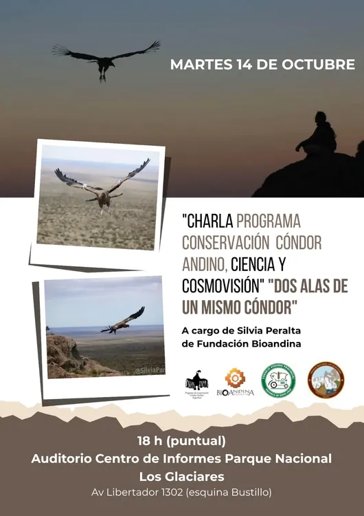 WhatsApp Image 2025-10-09 at 09.34.24