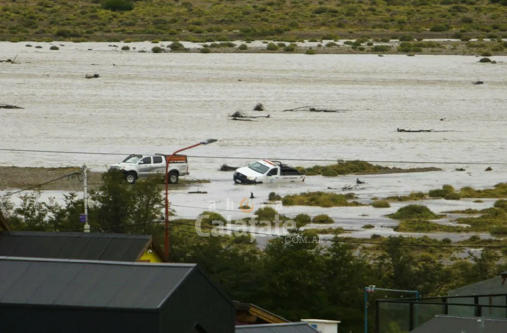 Imagen de WhatsApp 2025-01-12 a las 14.55.14_bb91ceae~4