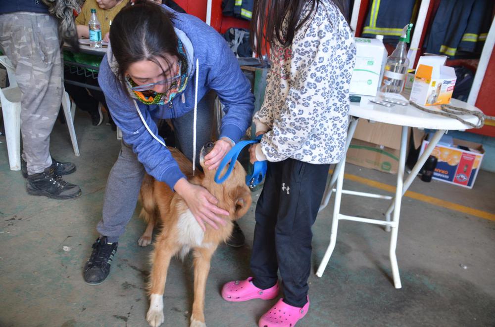 dccf7158-37a7-4b0d-a2f1-b8084b95222b