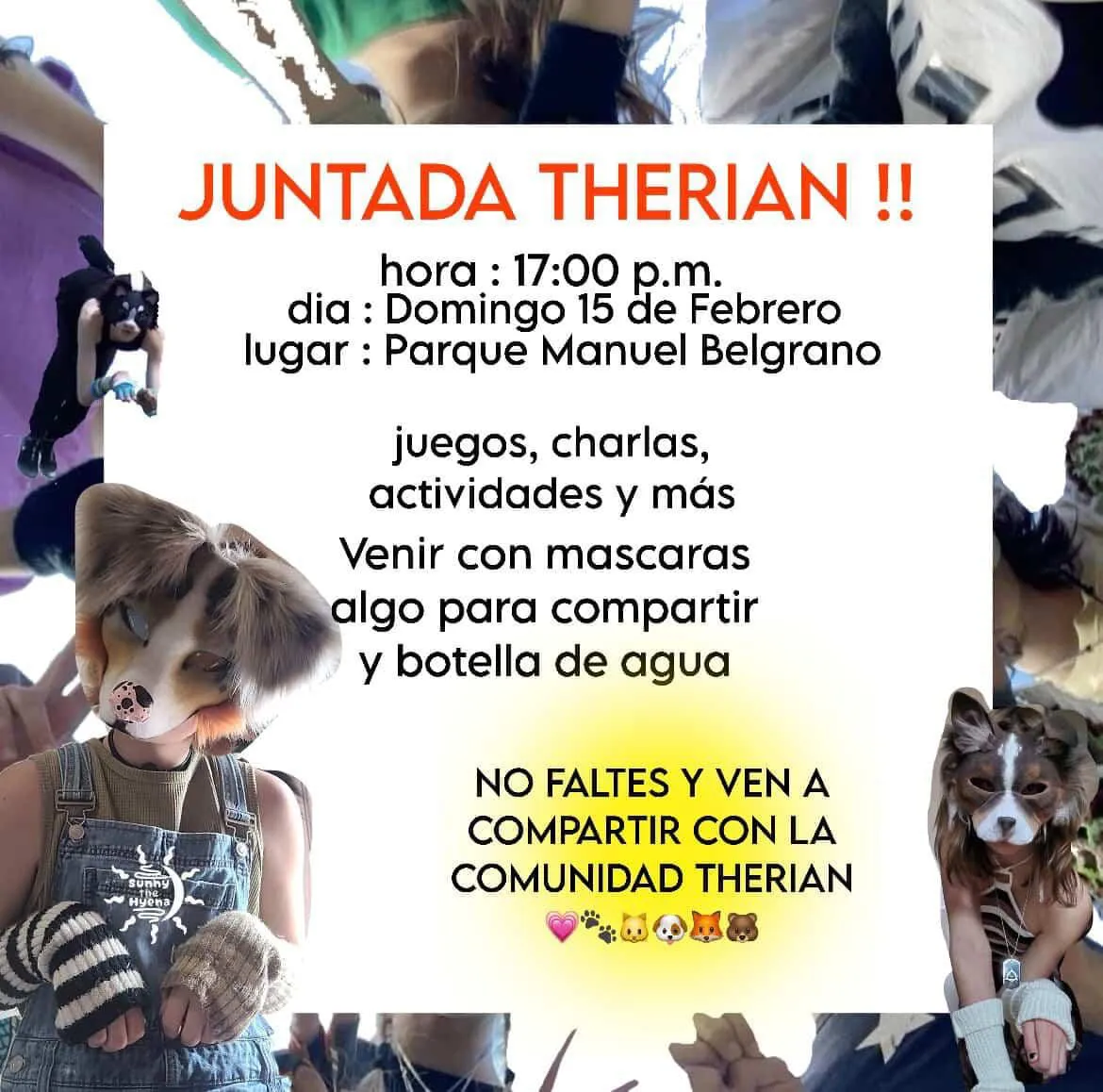 WhatsApp Image 2026-02-09 at 11.08.56