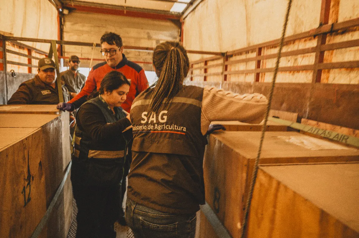 marcelo_mascareno-0258~1