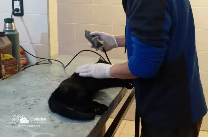 623466621_122160925442855895_7206002532465886297_n