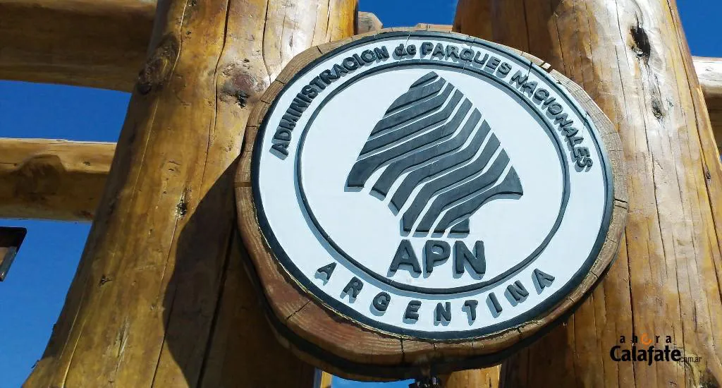 APN