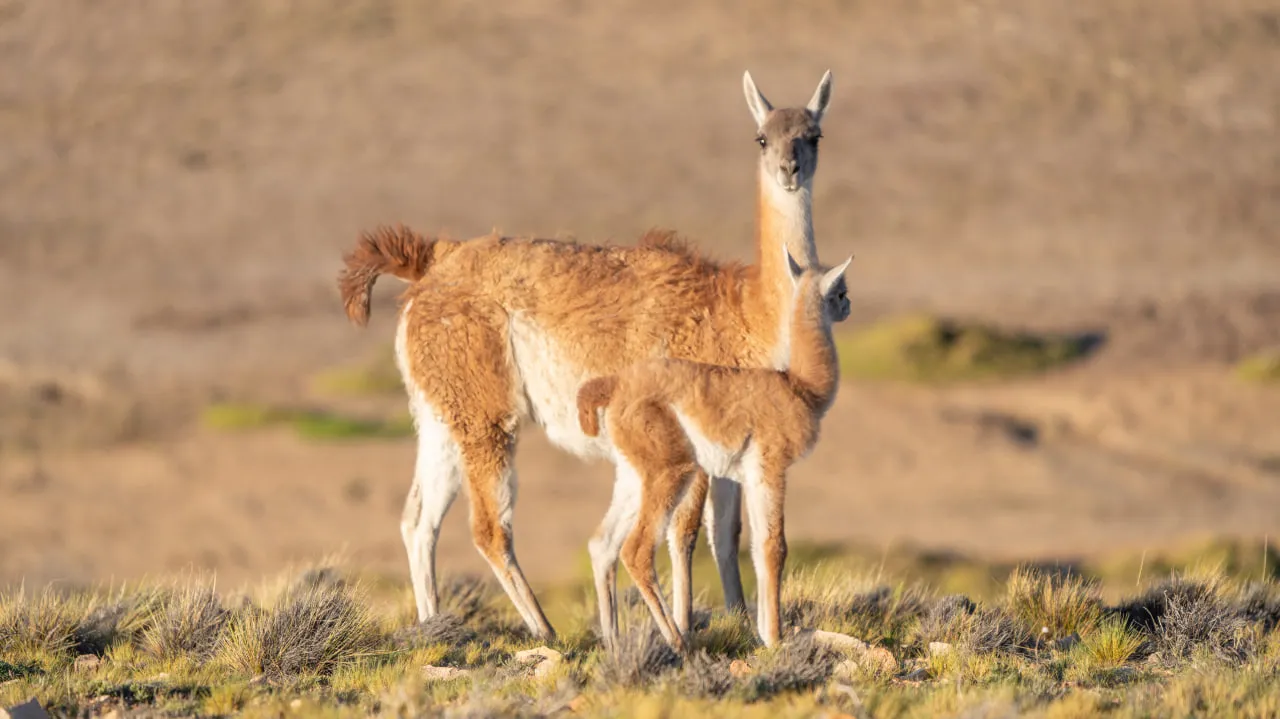 photo_2024-03-08_20-09-49
