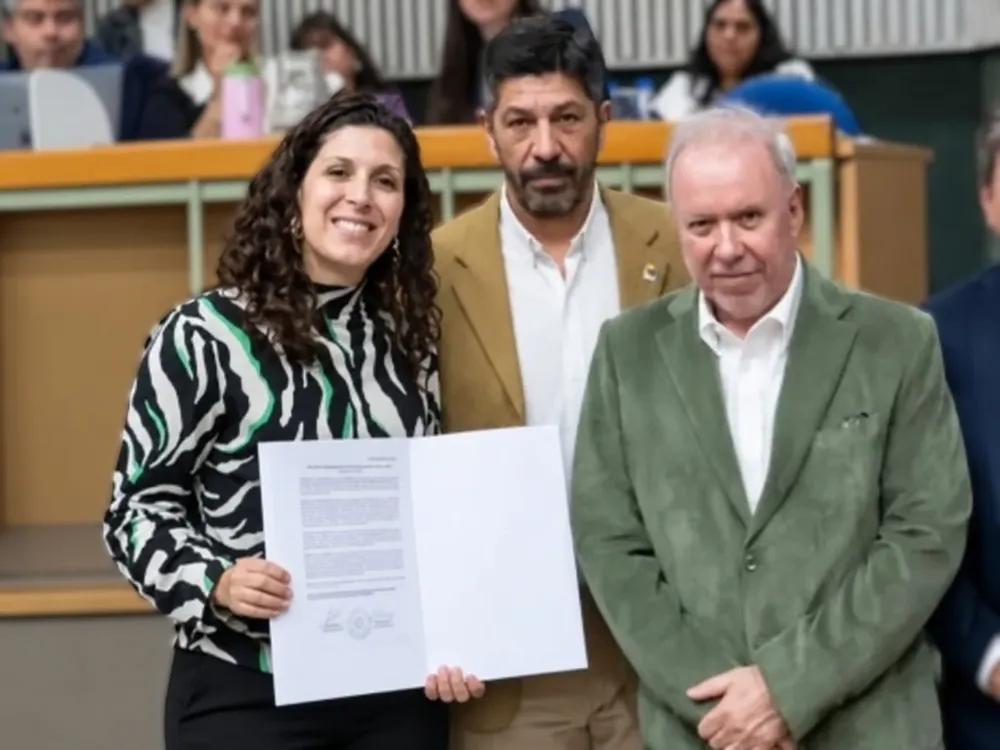 diputados